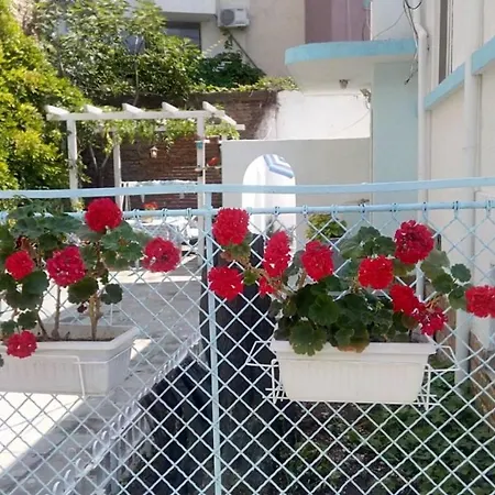 Romance *